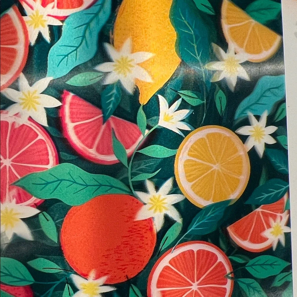 Colorful Citrus Pattern Notebook NWT